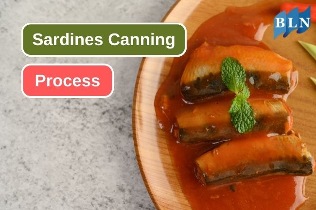 9 Steps Of Sardines Canning Process